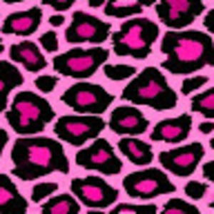 Meet your Posher, Aisha